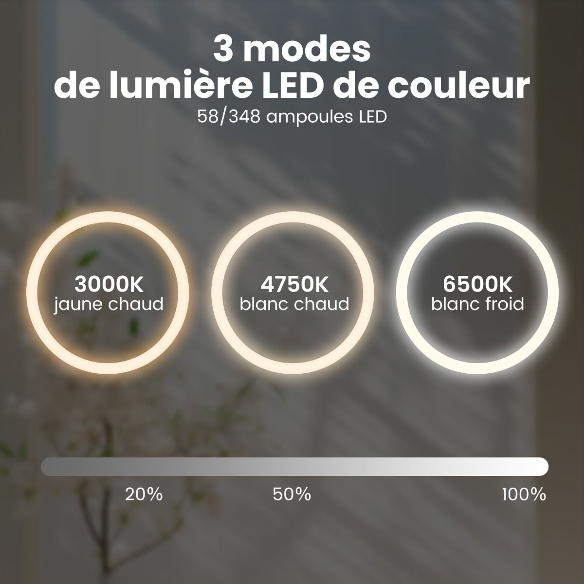 Miroir Mural Rond À LED Et Fonction Anti-Buée Miroir De Courtoisie Étanche Avec 3 Couleurs 58 Lumières Écran Tactile Miroir De Maquillage Argent