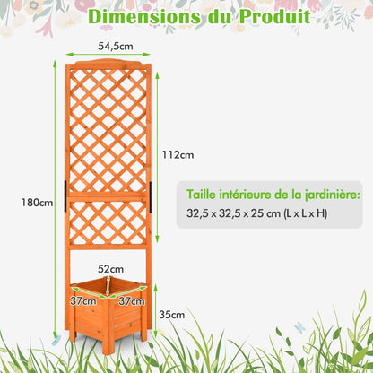 Jardinière Sur Pied Avec Treillis En Bois De Sapin 54,5X52X180Cm Bac À Fleurs Avec Trous De Drainage Pour Plantes Grimpantes